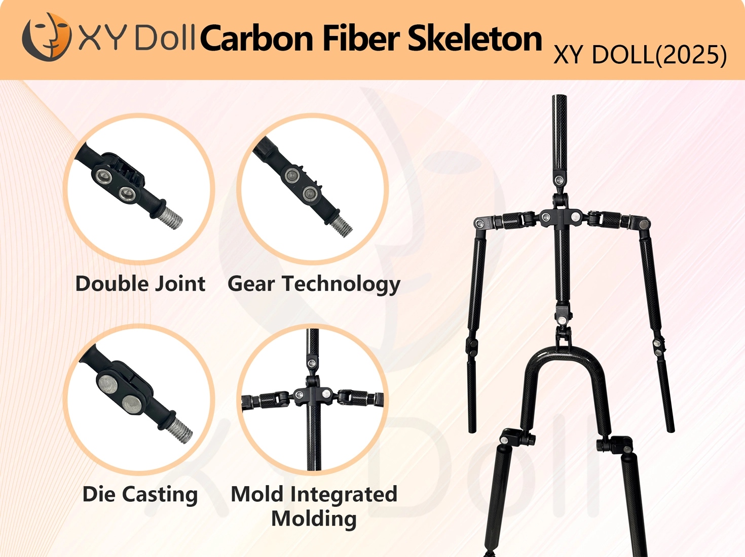 XYDOLL CFS碳繊維骨格