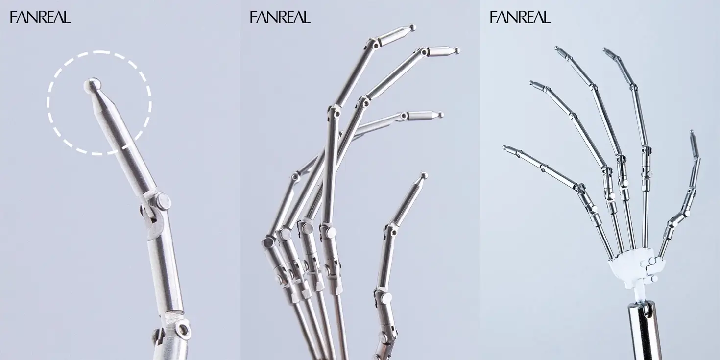 FANREAL 新しい球型関節手の骨格