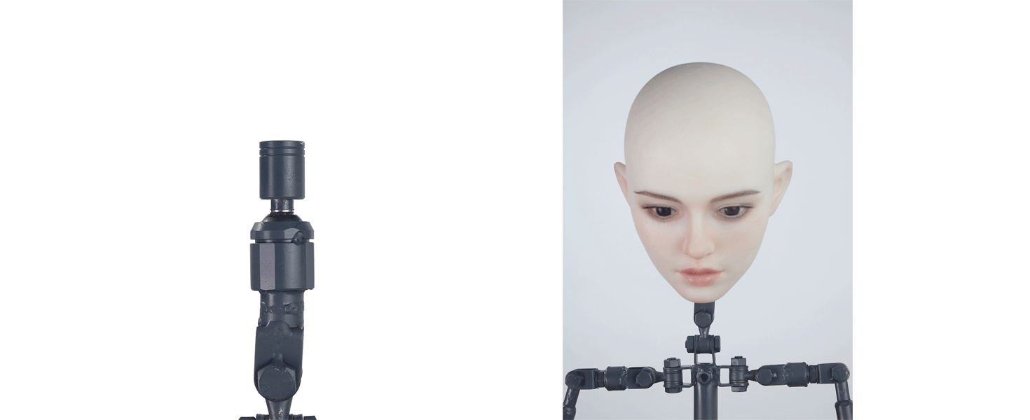 Starpery新型スケルトン