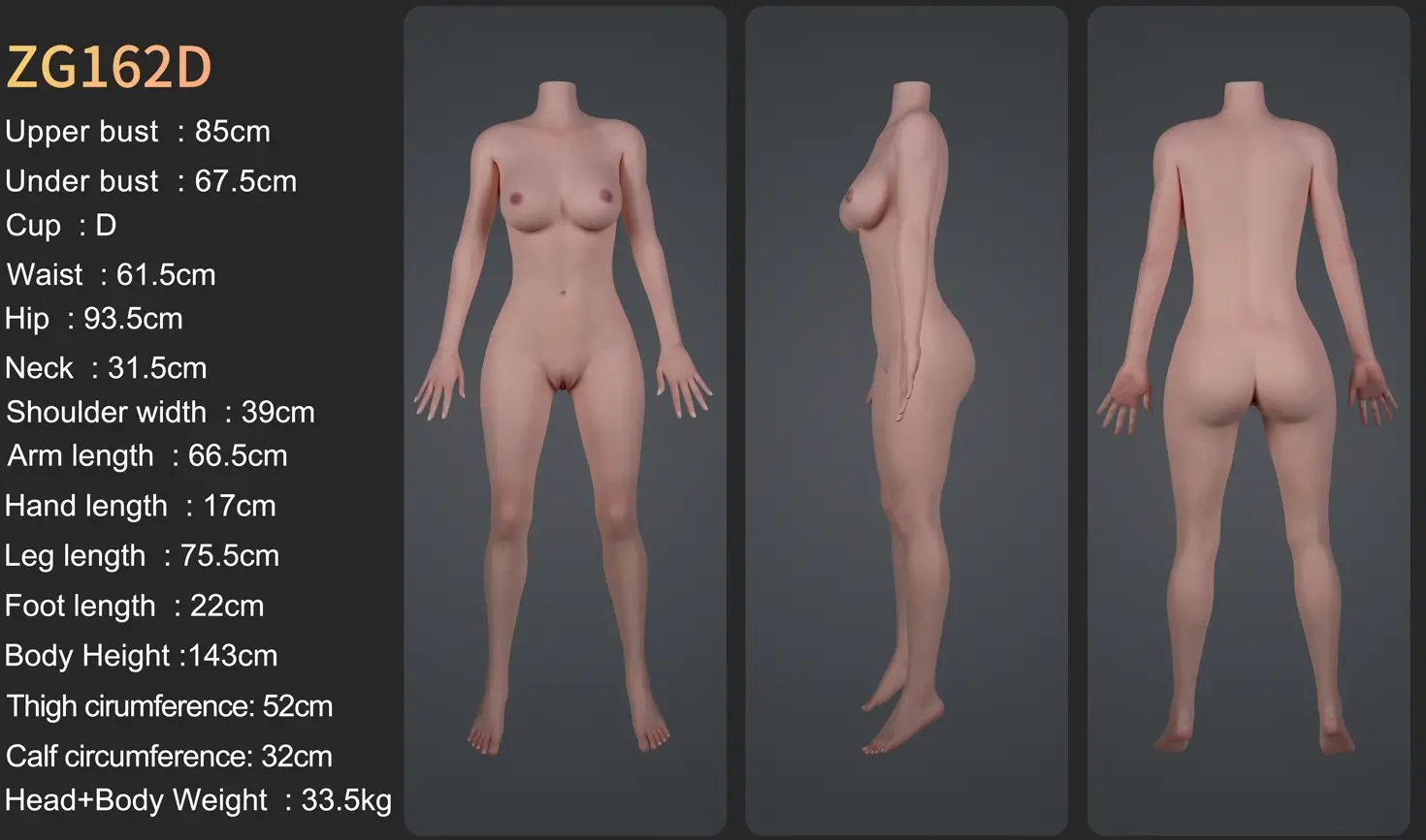 ZELEX DOLL ZG162Dラブドール サイズ