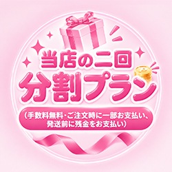 お支払いプラン:②二回払いプラン（頭金+残金）